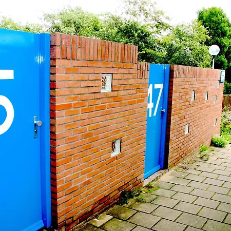 Schelp 47