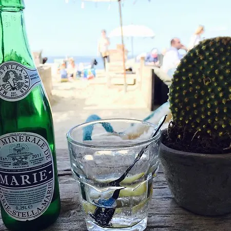 Schelp 47 Lägenhet Zandvoort