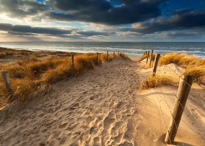 Reumann De Schelp 47 *