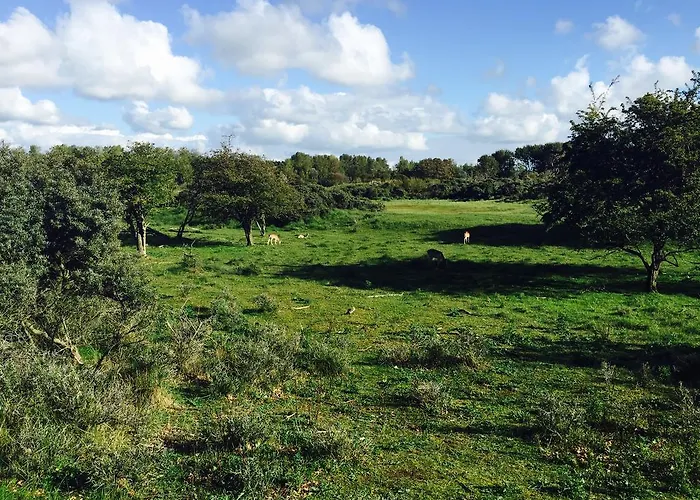 Апартаменты Reumann De Schelp 47