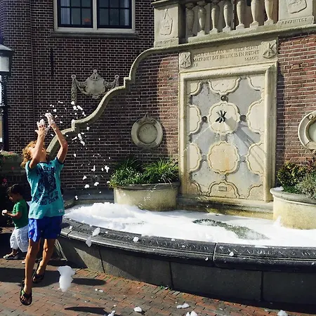 Schelp 47 * Zandvoort