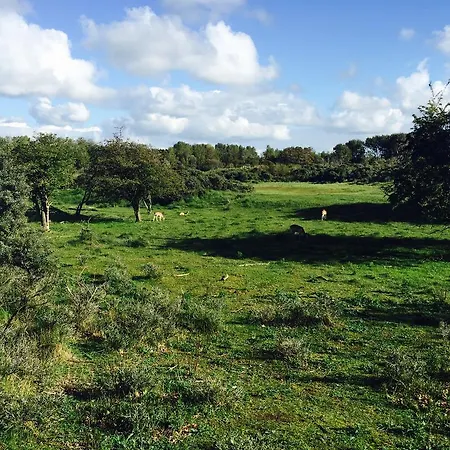 아파트 Reumann De Schelp 47