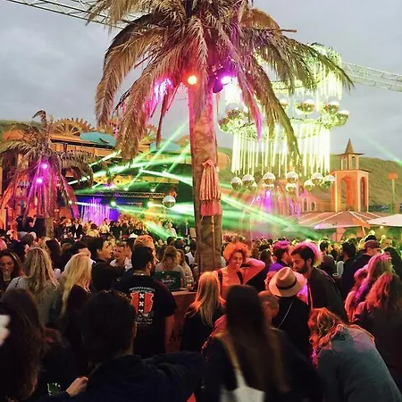 Schelp 47 * Zandvoort